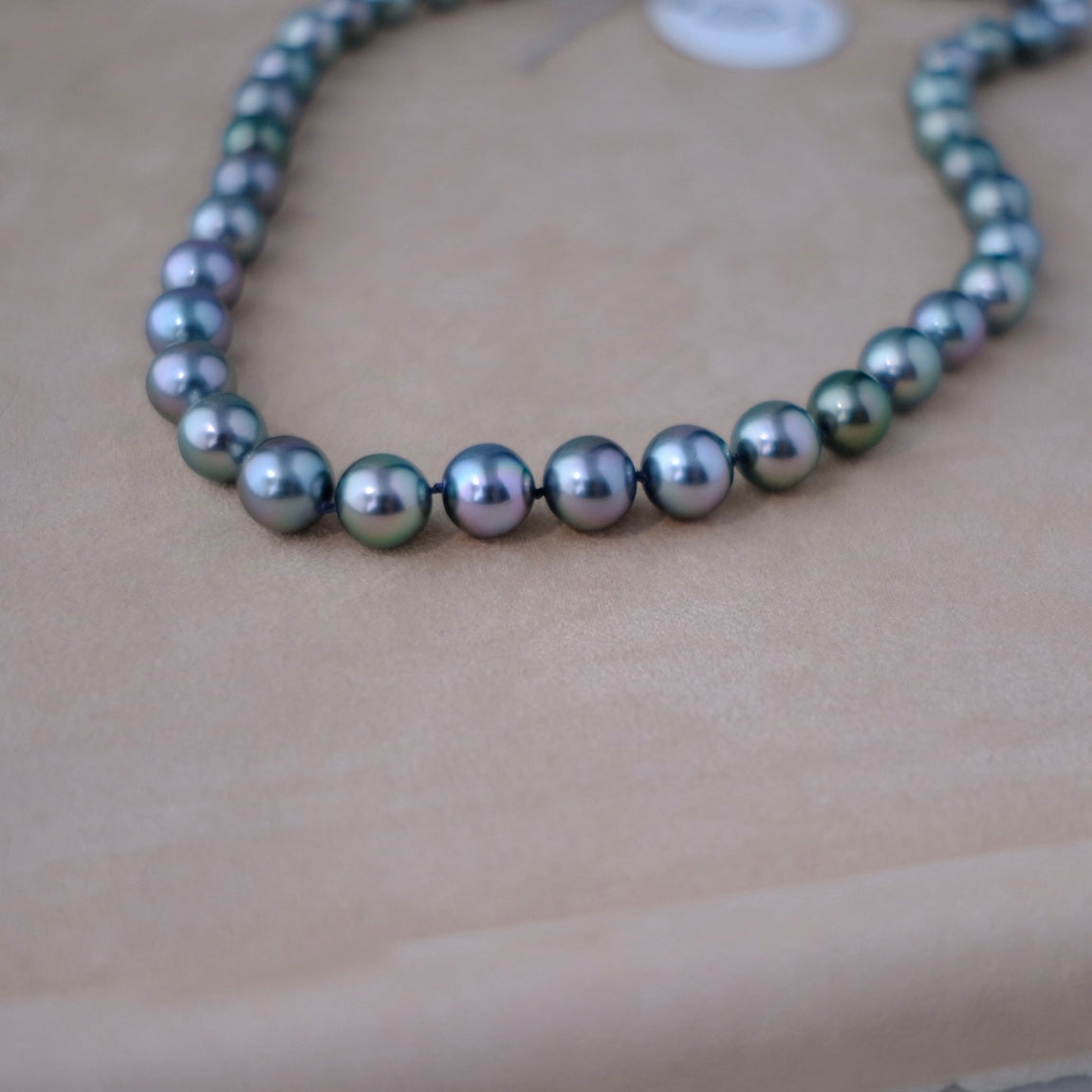 Tahitian Starla Necklace, 8.2-10.9mm, Pearl Necklace, GUILD Certificate