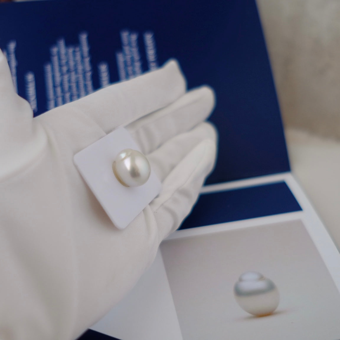 White South Sea Loose Pearl, 14.1*16.6mm, 18K Diamond, PASPALEY