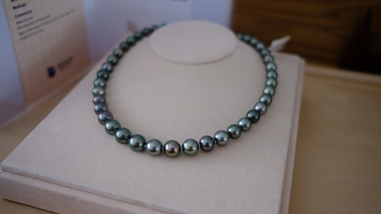 Tahitian Peacock Necklace, 8.5-11.3mm, Pearl Necklace, GUILD Certificate