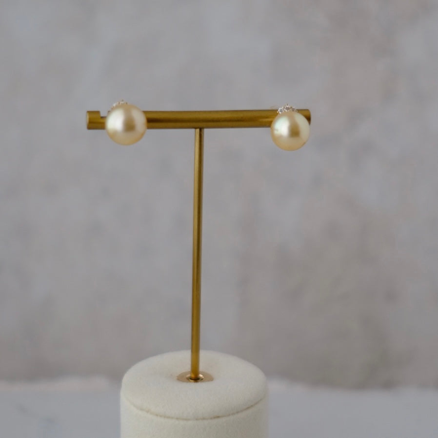 Golden South Sea Pearl, 18K Diamond Earrings, 10.6mm