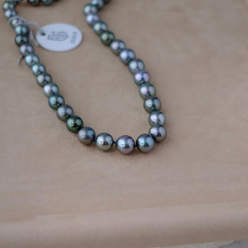 Tahitian Starla Necklace, 8.2-10.9mm, Pearl Necklace, GUILD Certificate