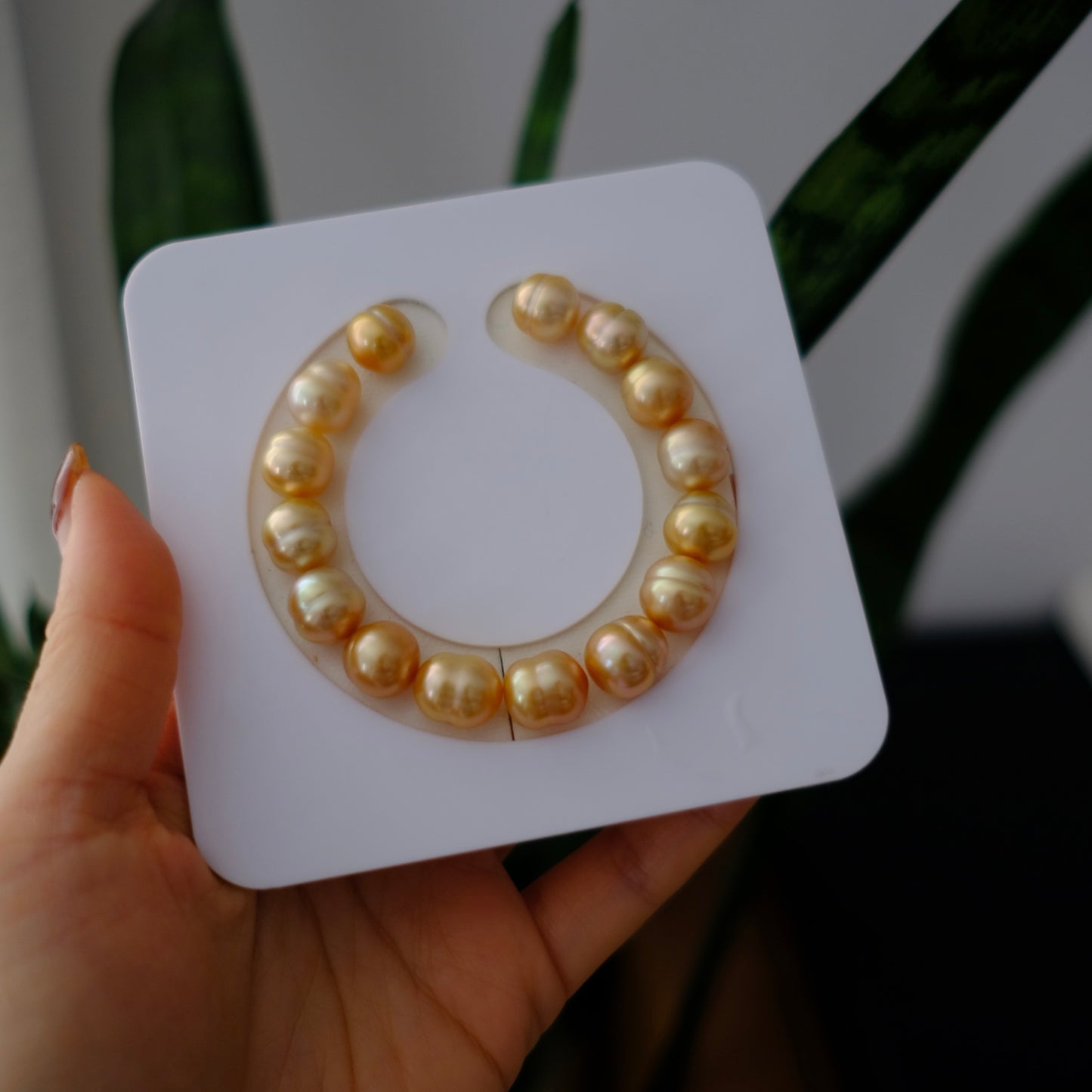 Golden South Sea Pearl Bracelet, Loose Pearl, 10-12mm
