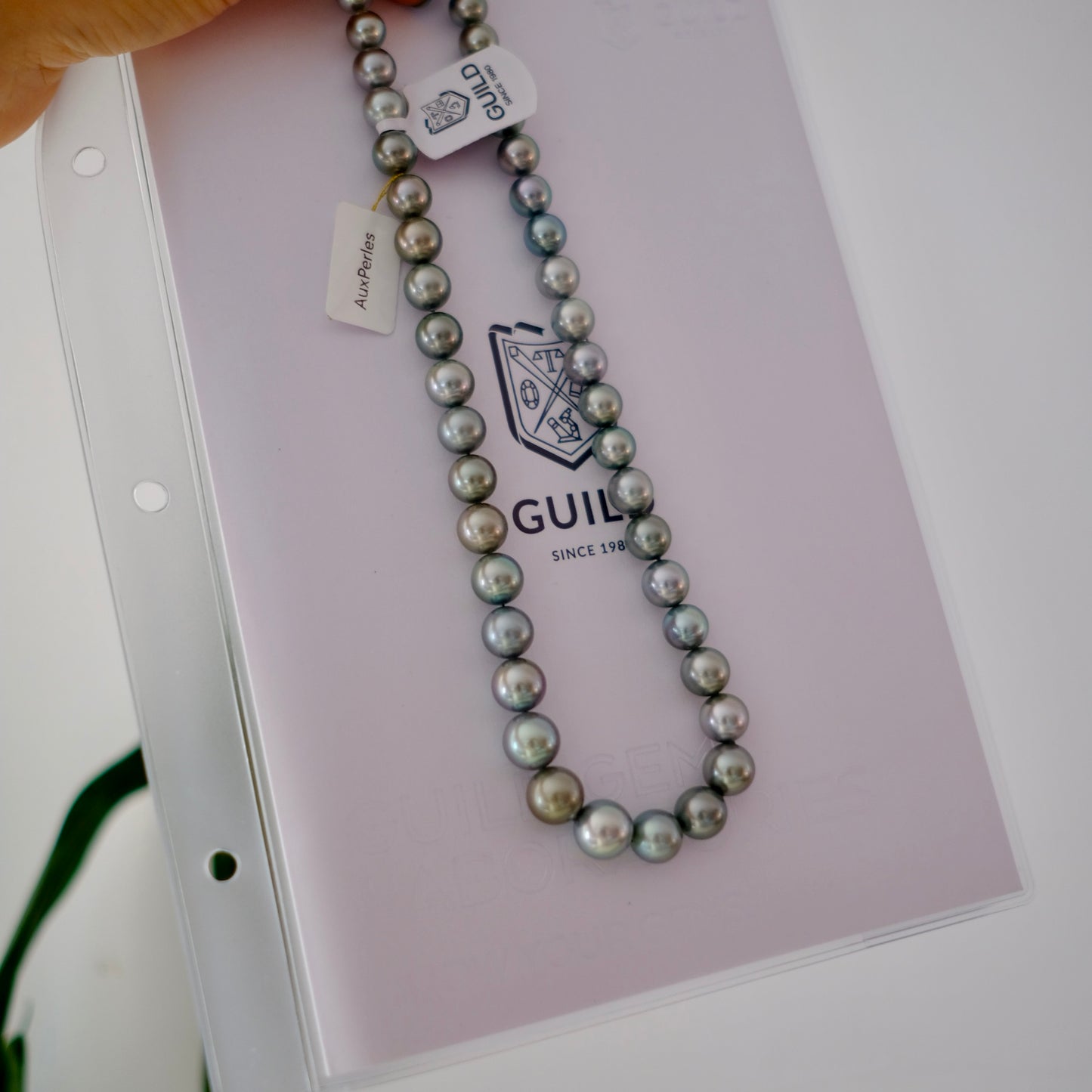 Tahitian Platinum Gray Necklace, 8.2-11.4mm, Pearl Necklace, GUILD Certificate #4190