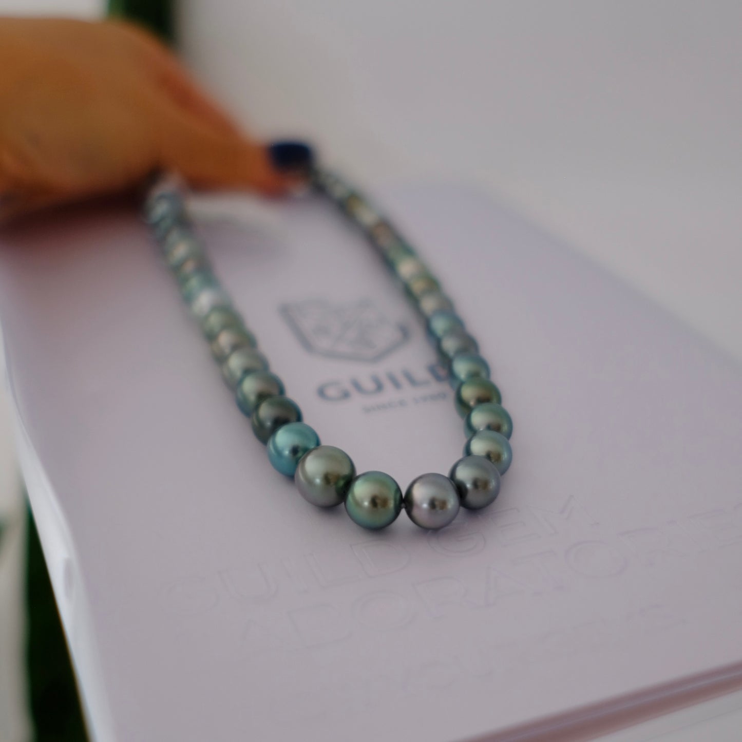 Tahitian Peacook Necklace, 7.9-10.8mm, Pearl Necklace, GUILD Certificate #7721