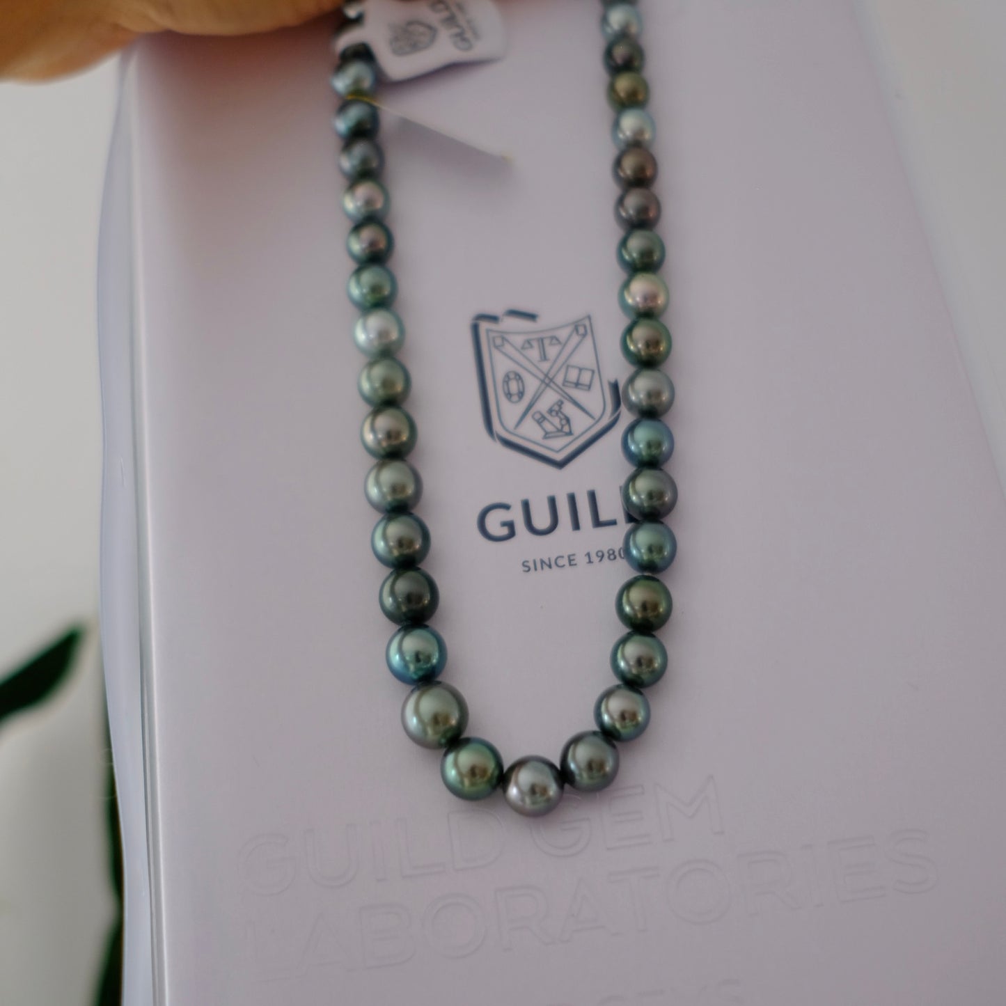 Tahitian Peacook Necklace, 7.9-10.8mm, Pearl Necklace, GUILD Certificate #7721