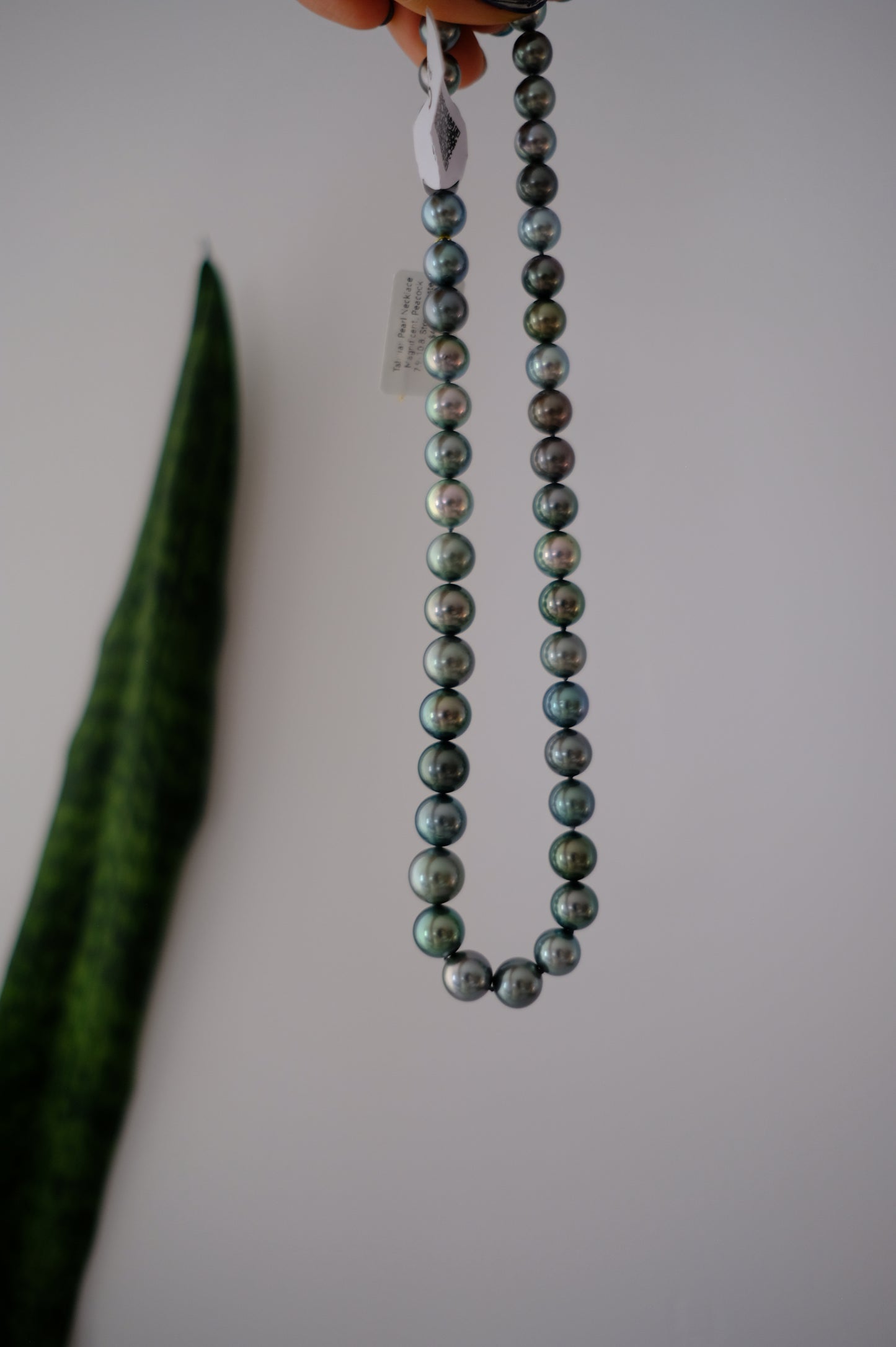 Tahitian Peacook Necklace, 7.9-10.8mm, Pearl Necklace, GUILD Certificate #7721