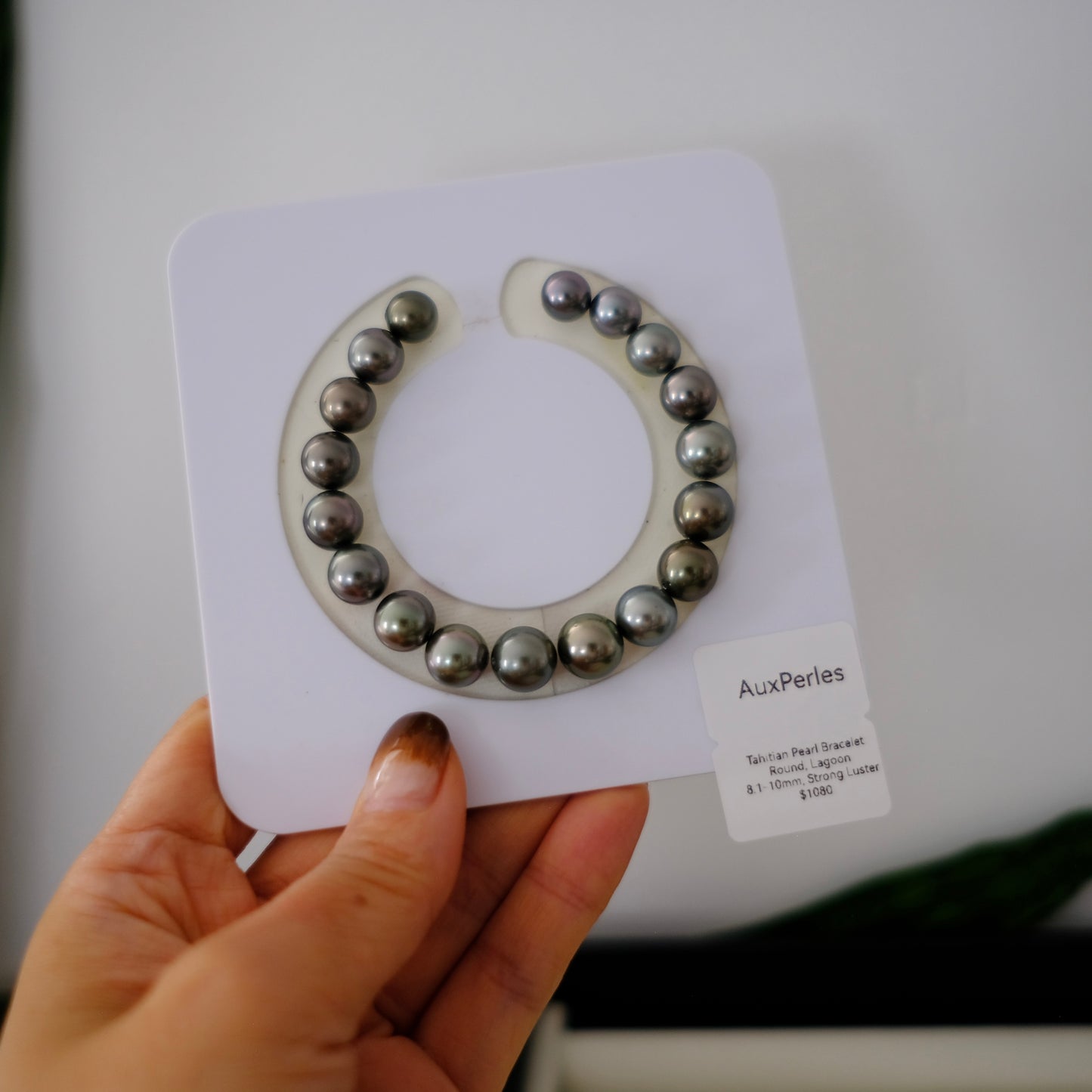 Tahitian Pearl Bracelet, Round, Lagoon, 8.1-10mm