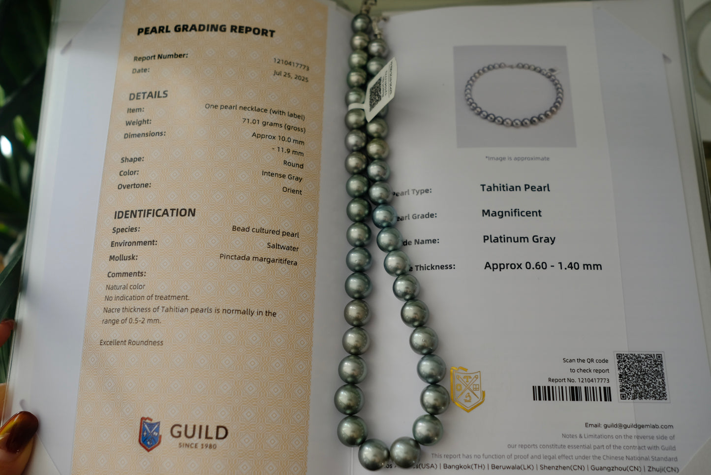 Tahitian Platinum Gray Necklace, 10-11.9mm, Pearl Necklace, GUILD Certificate #7773