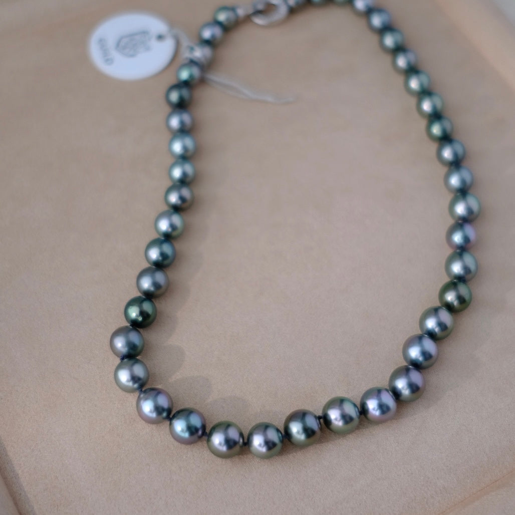 Tahitian Starla Necklace, 8.2-10.9mm, Pearl Necklace, GUILD Certificate