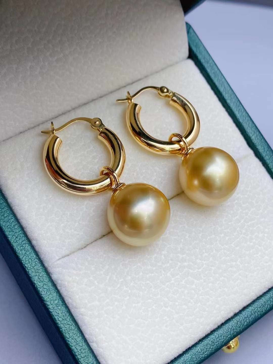 Z025 Classic Earrings Accessories, AU750