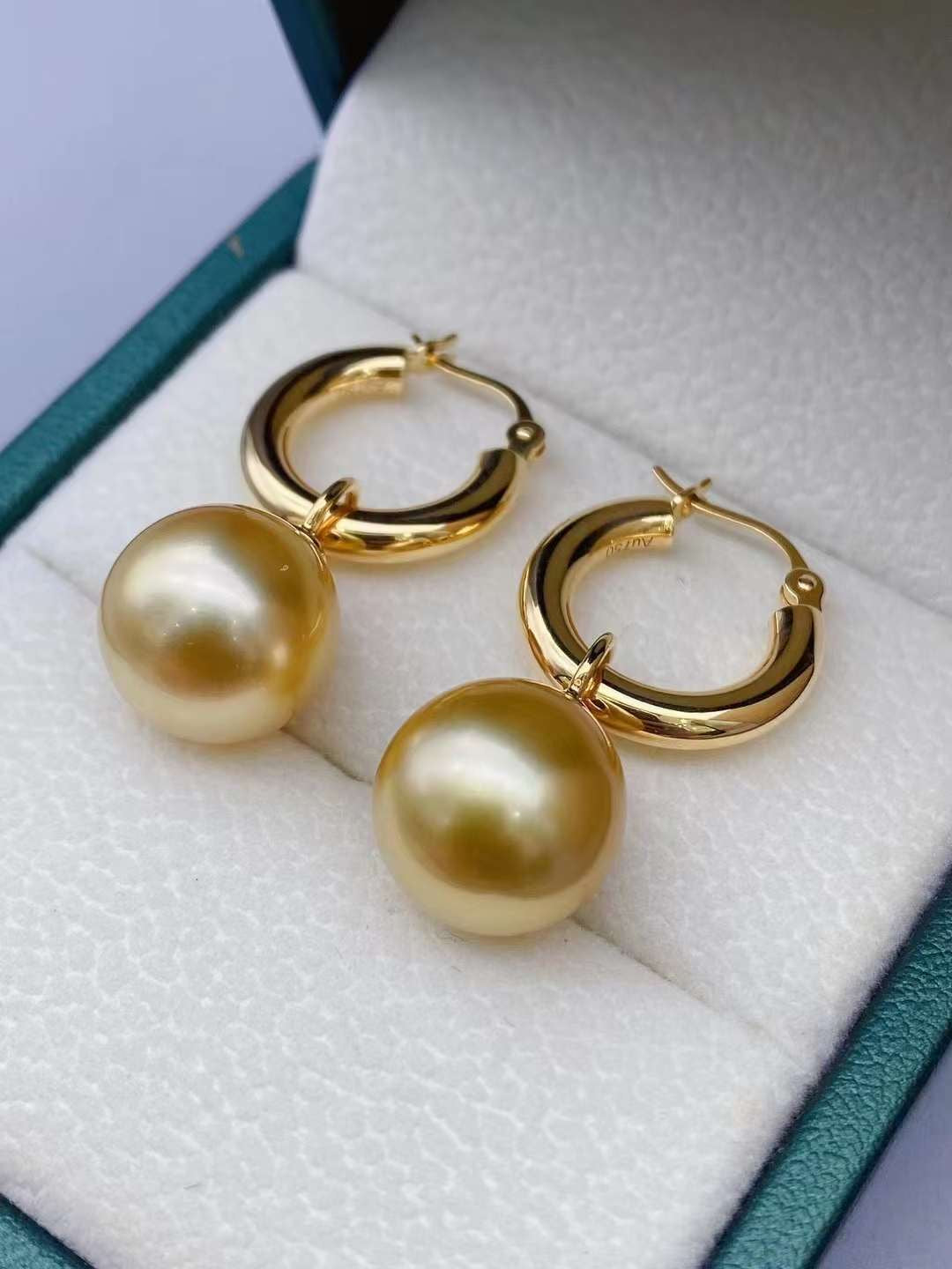 Z025 Classic Earrings Accessories, AU750