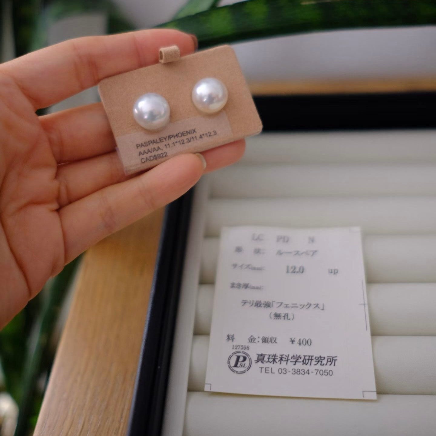 White South Sea Loose Pearl, 11.1*12.3/11.4*12.3mm, Phoenix