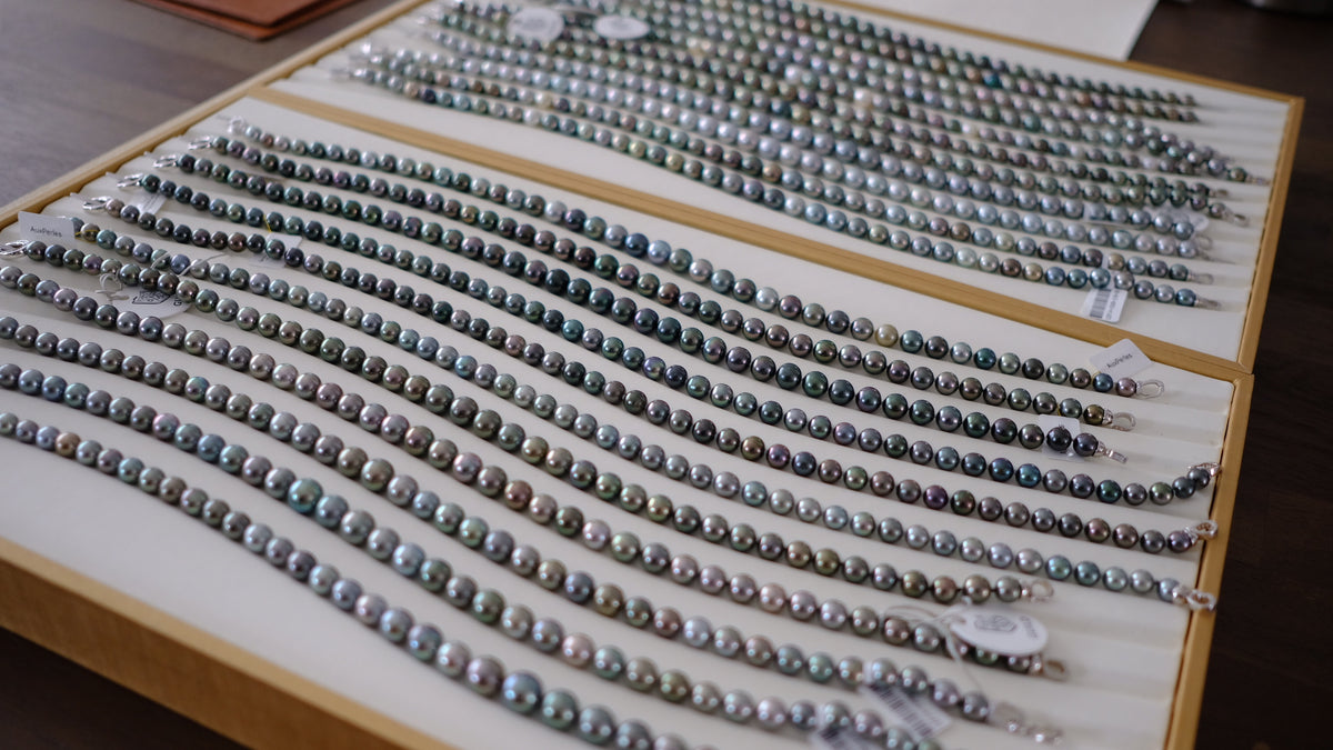 SC004 Tahitian Pearl Necklace