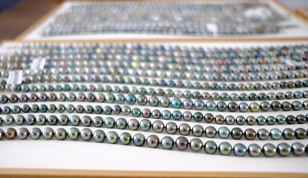 SC004 Tahitian Pearl Necklace