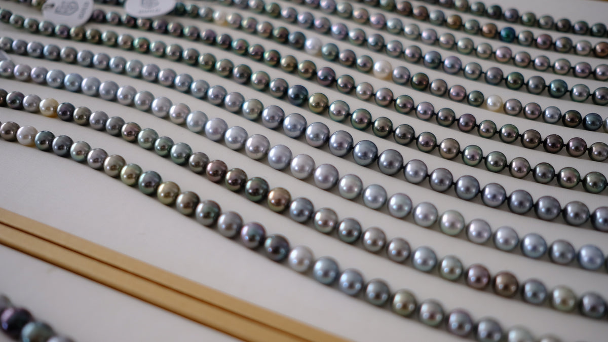 SC004 Tahitian Pearl Necklace