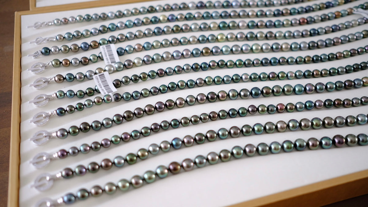 SC004 Tahitian Pearl Necklace