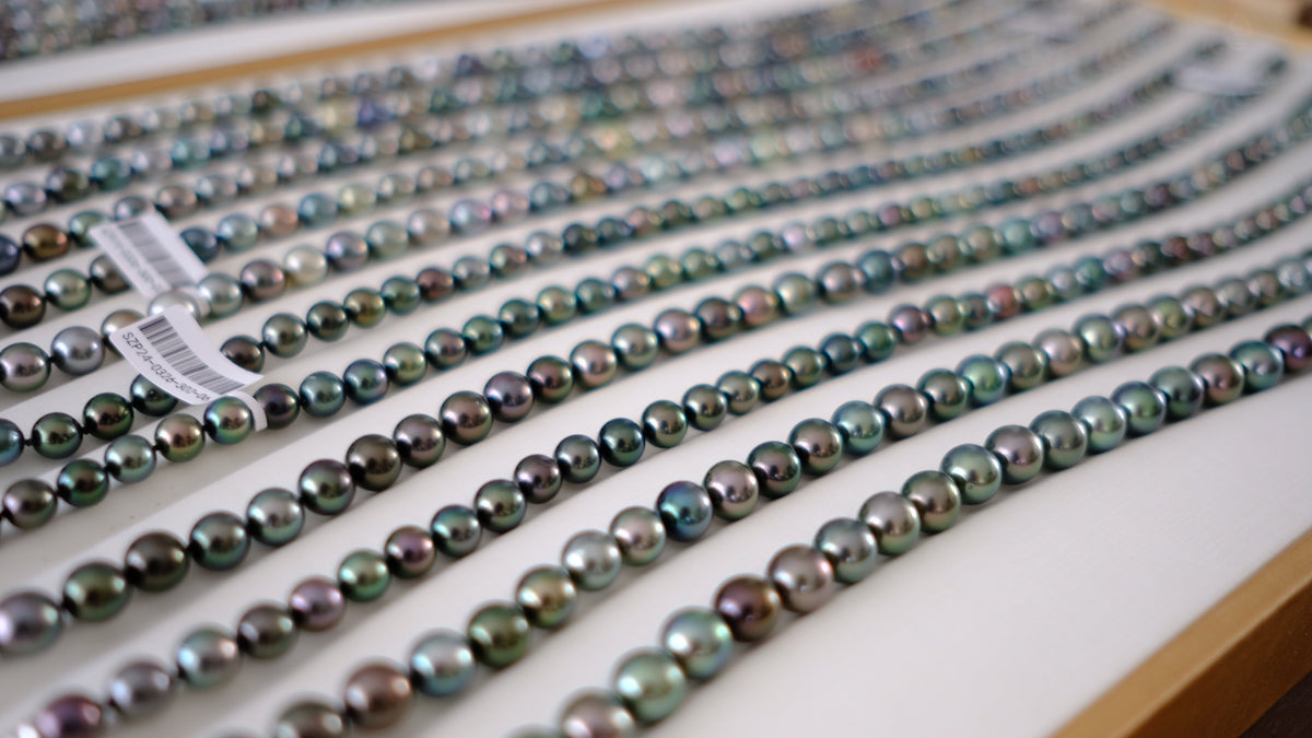 SC004 Tahitian Pearl Necklace