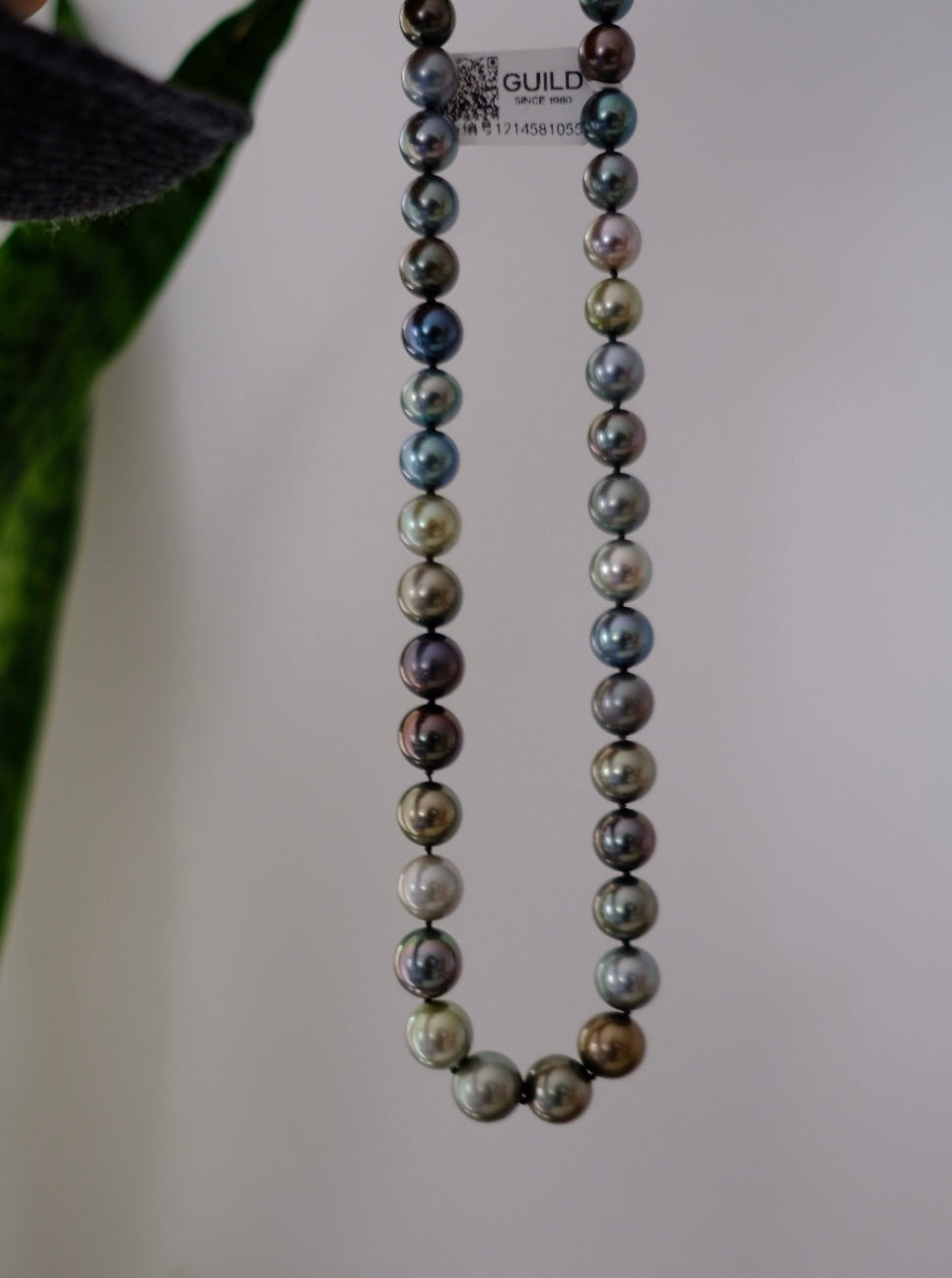 Tahitian Morandi Necklace, 8.3-11mm, Pearl Necklace, GUILD Certificate