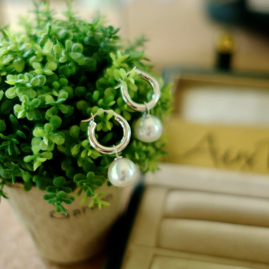 Z025 Classic Earrings Accessories, AU750