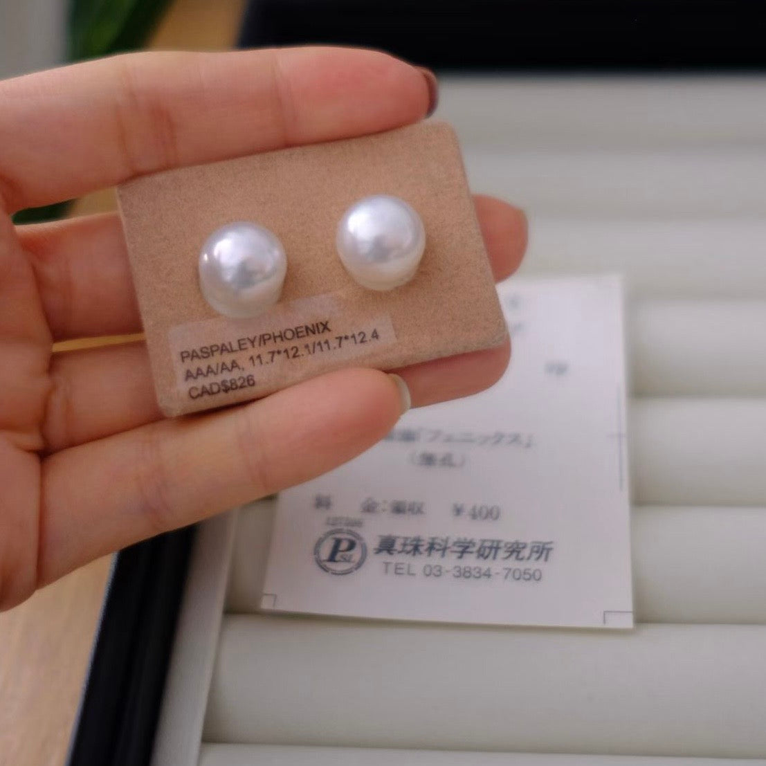 White South Sea Loose Pearl, Button, 11.7*12.1/11.7*12.4mm, Phoenix