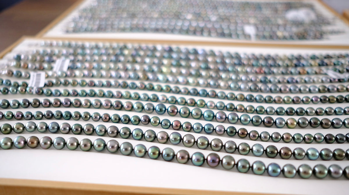 SC004 Tahitian Pearl Necklace