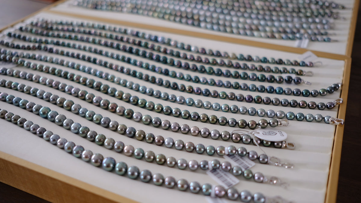 SC004 Tahitian Pearl Necklace