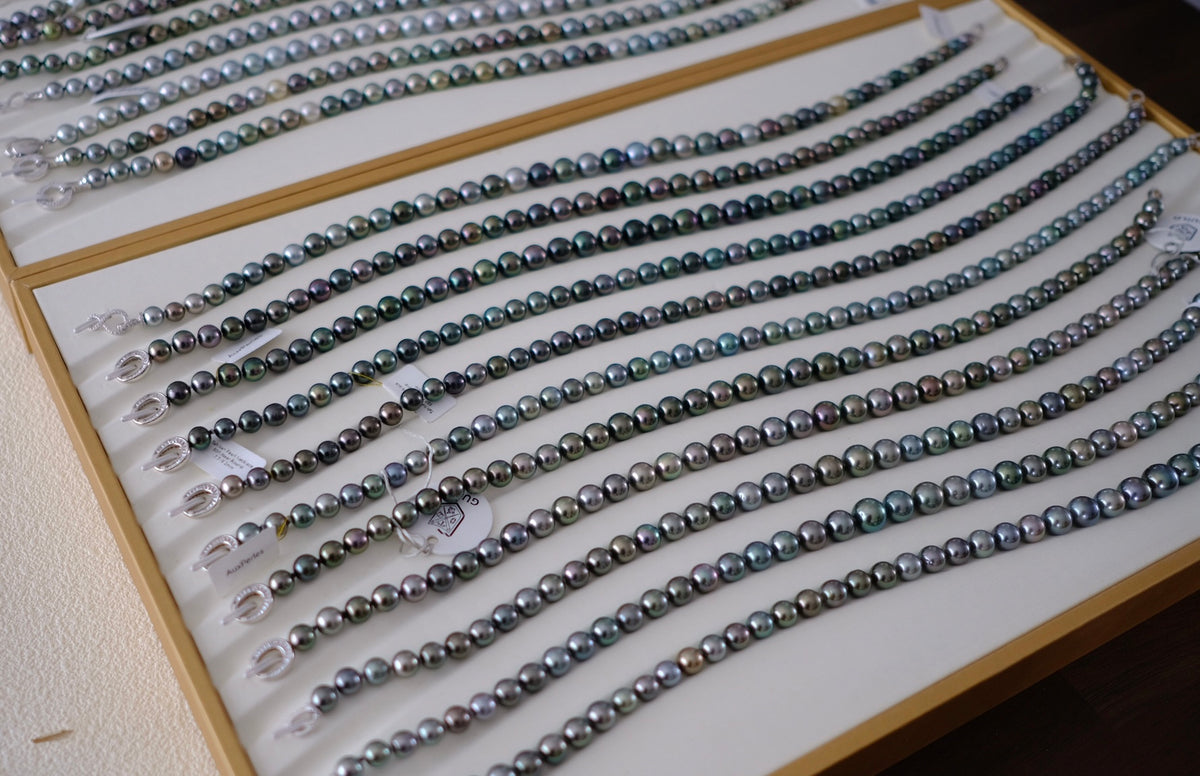 SC004 Tahitian Pearl Necklace