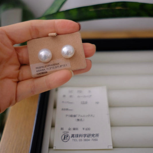 White South Sea Loose Pearl, Button, 11.3*12.3mm/11.8*12.1mm, Phoenix