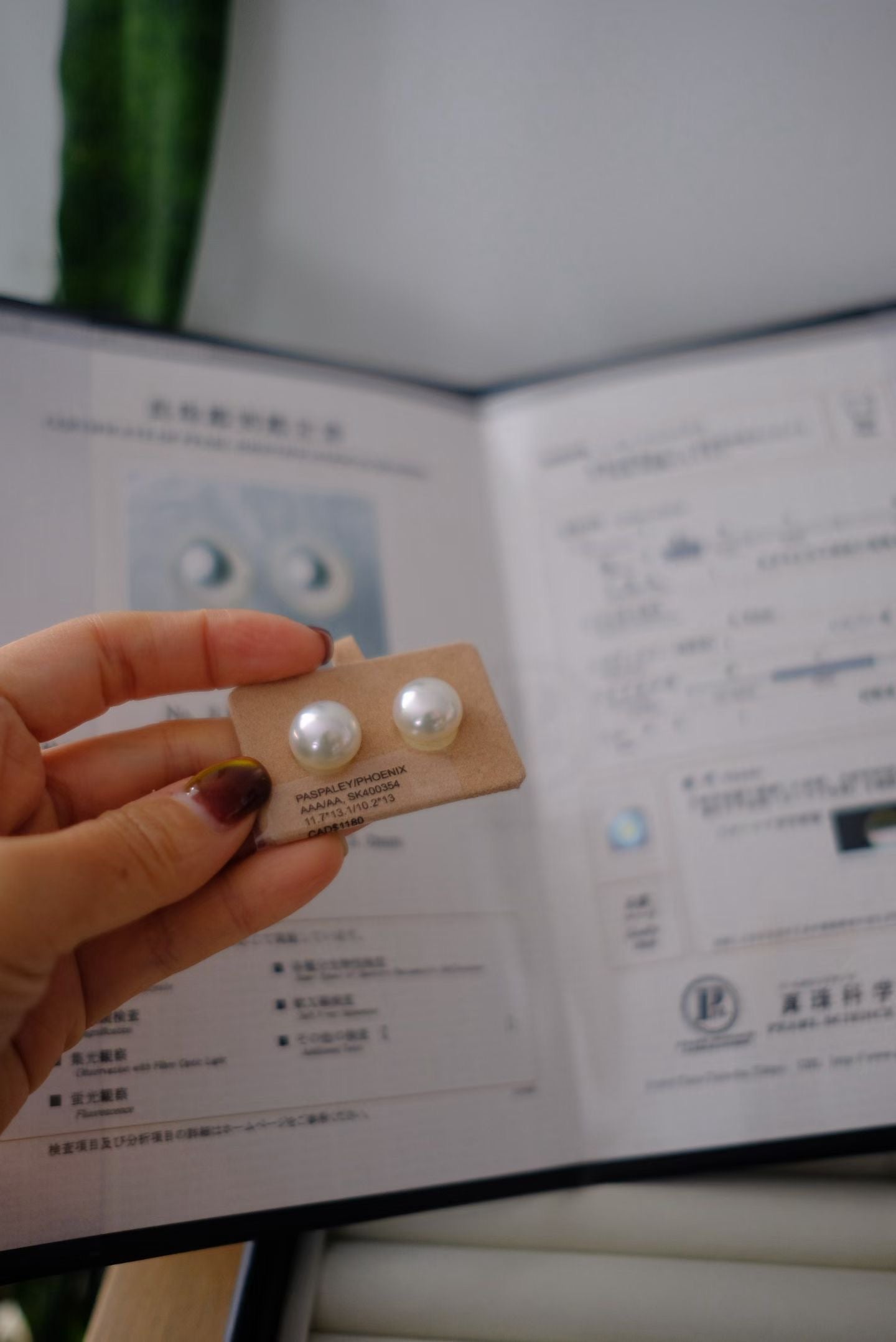 White South Sea Loose Pearl, Button, 11.7*13.1mm/10.2*13mm, Phoenix