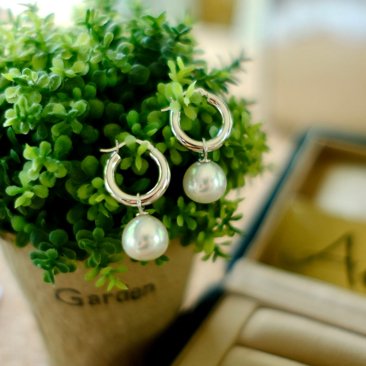 Z025 Classic Earrings Accessories, AU750
