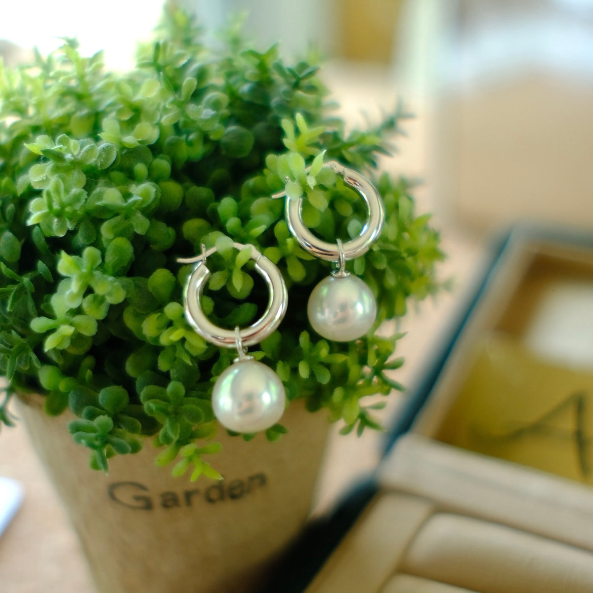 Z025 Classic Earrings Accessories, AU750