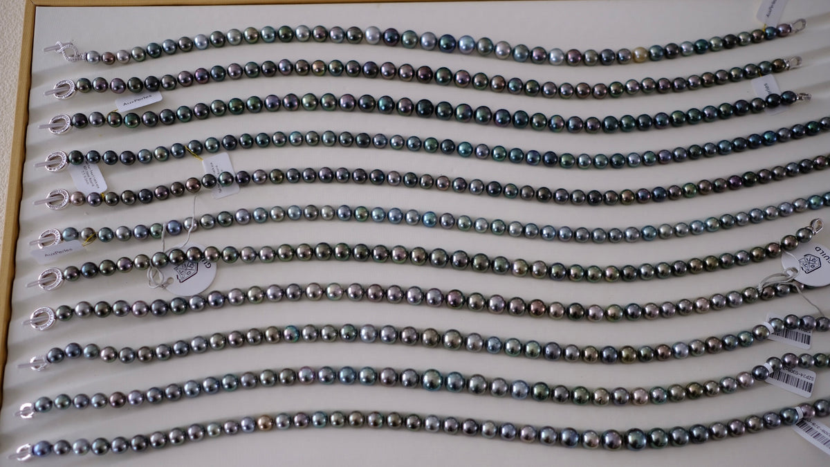 SC004 Tahitian Pearl Necklace