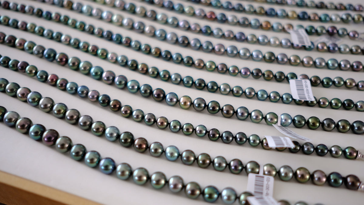 SC004 Tahitian Pearl Necklace