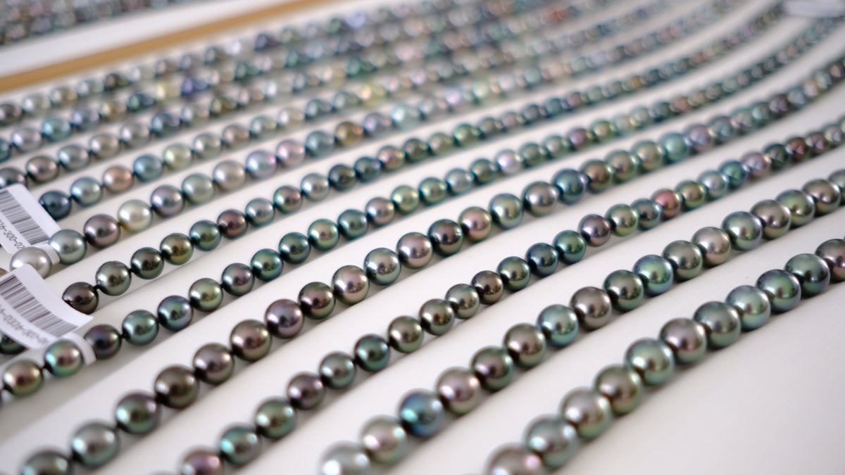 SC004 Tahitian Pearl Necklace