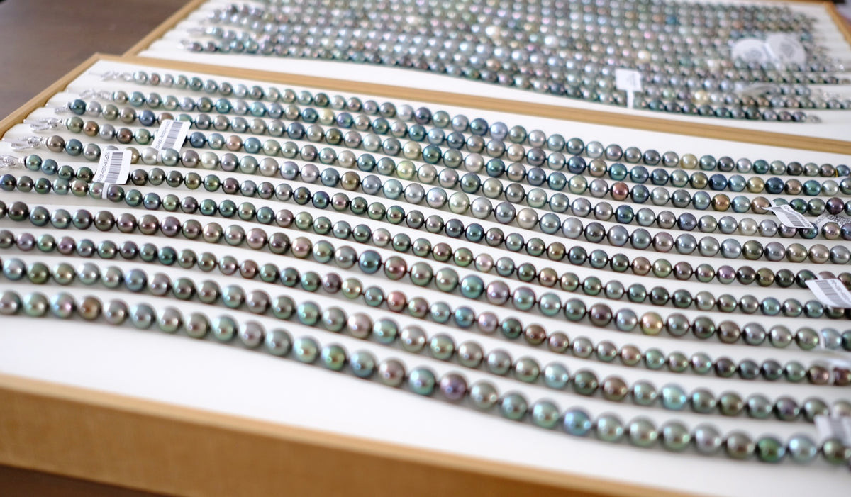 SC004 Tahitian Pearl Necklace