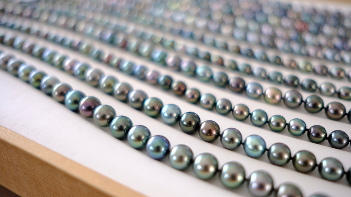 SC004 Tahitian Pearl Necklace