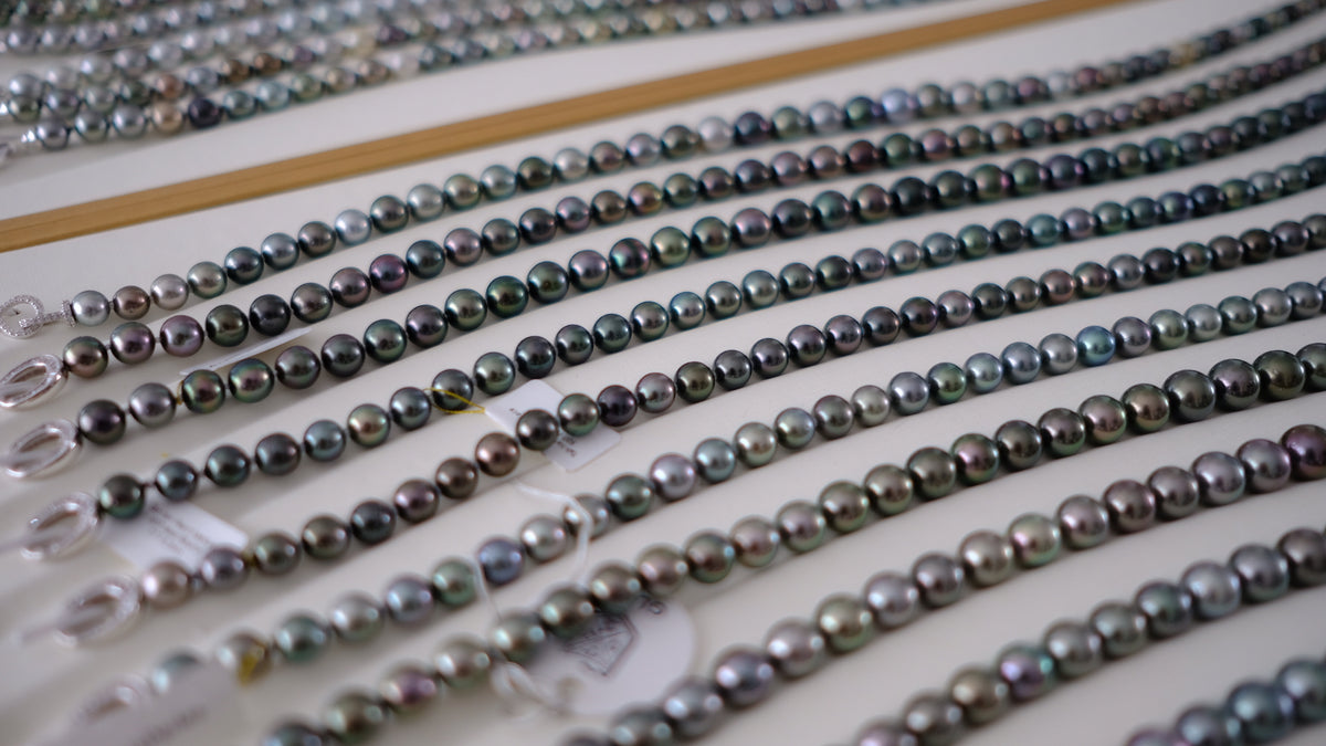 SC004 Tahitian Pearl Necklace