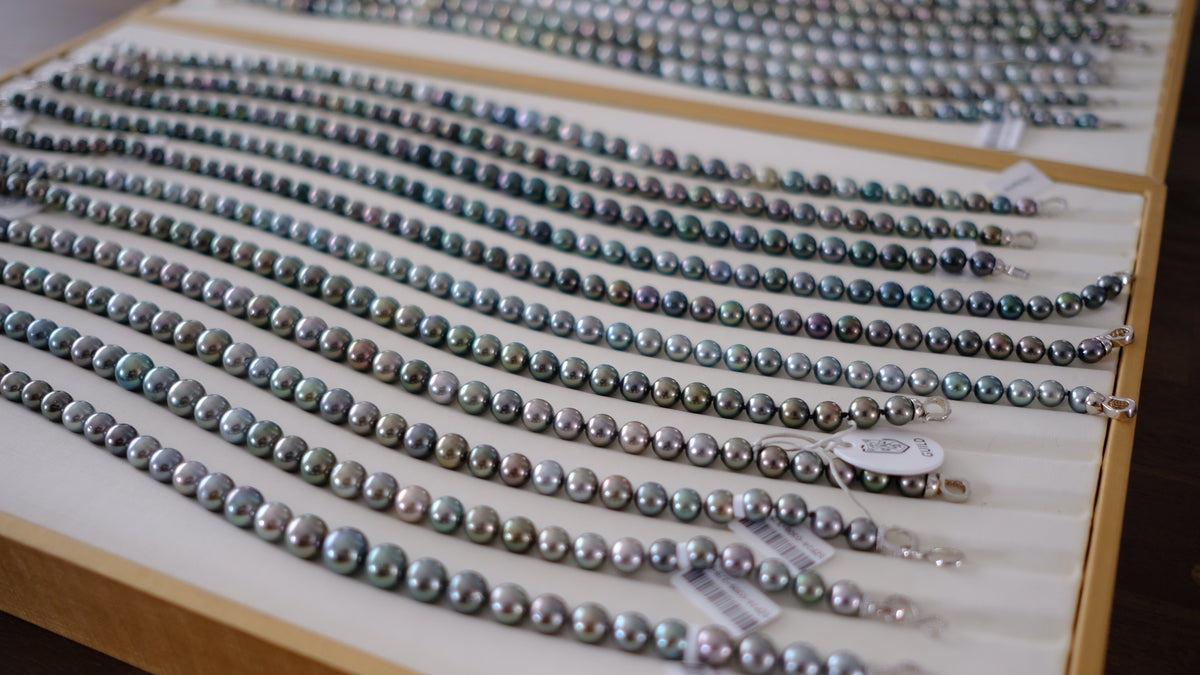 SC004 Tahitian Pearl Necklace
