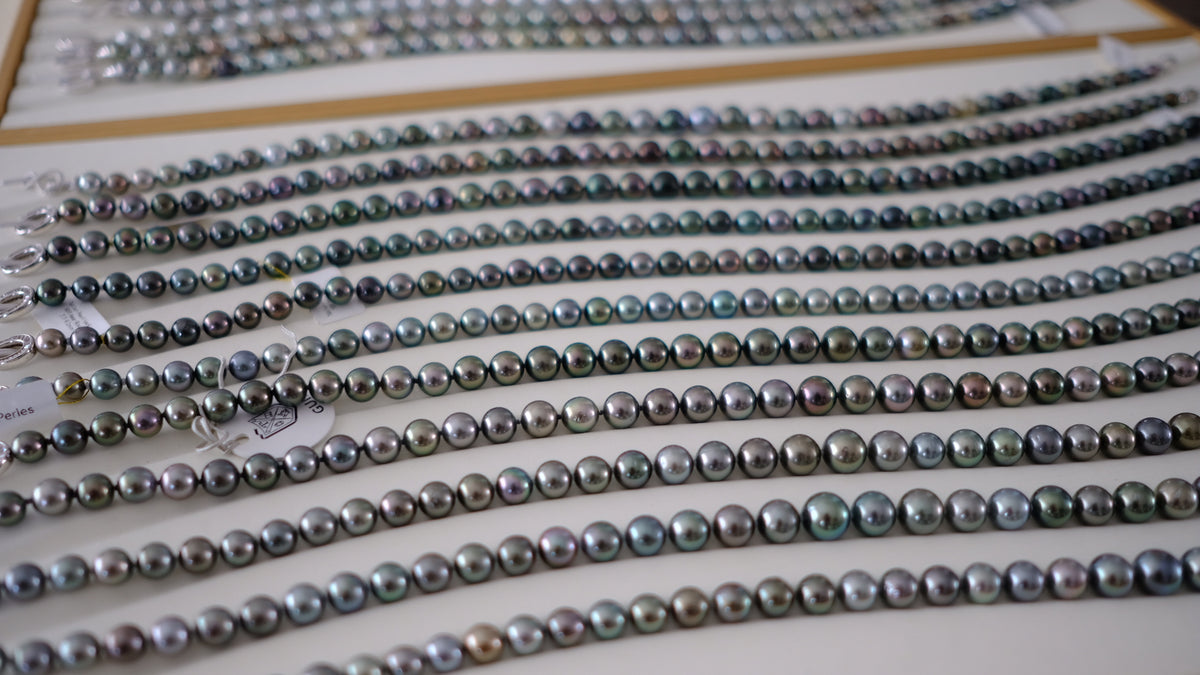 SC004 Tahitian Pearl Necklace