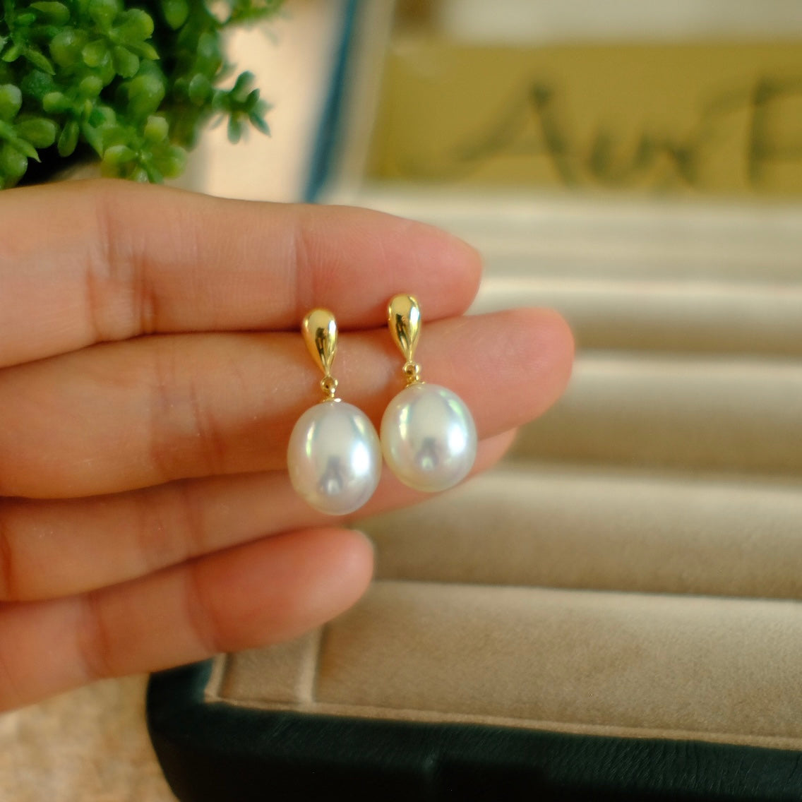 Z090 Classic Earrings Accessories, AU750
