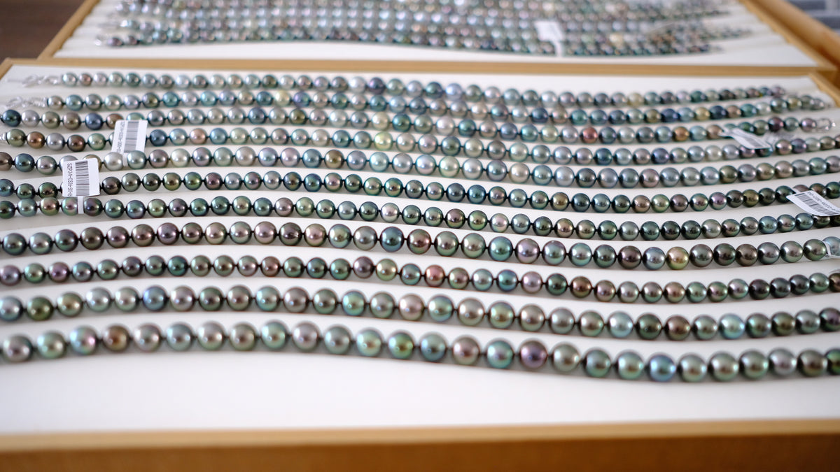 SC004 Tahitian Pearl Necklace