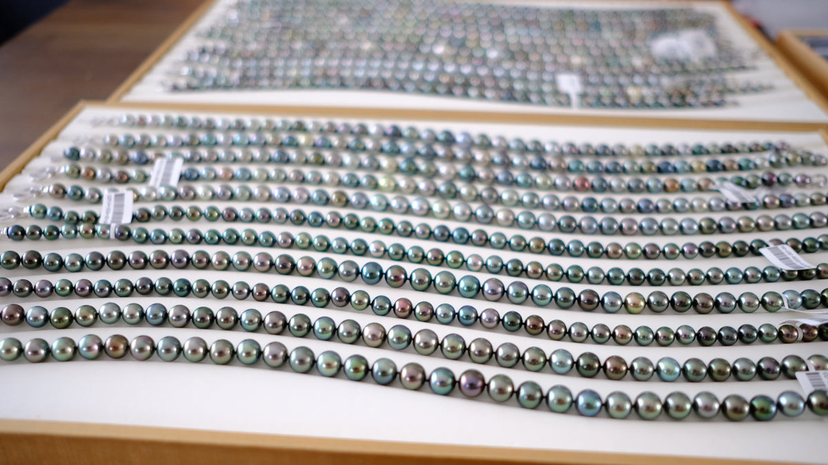 SC004 Tahitian Pearl Necklace