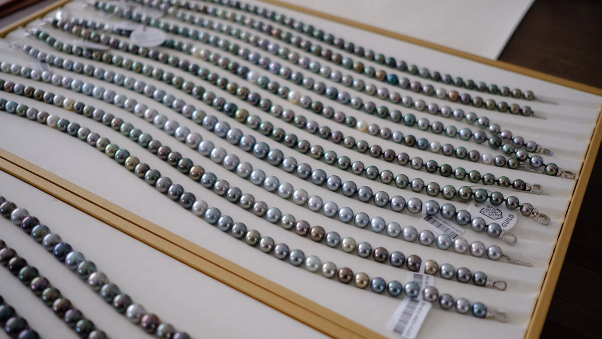 SC004 Tahitian Pearl Necklace
