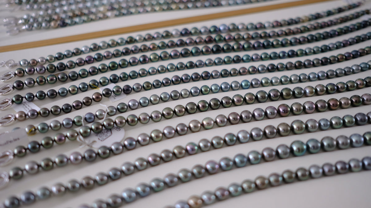 SC004 Tahitian Pearl Necklace