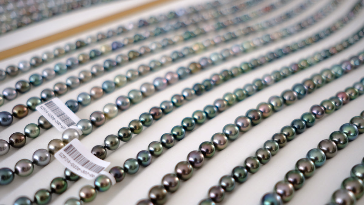 SC004 Tahitian Pearl Necklace