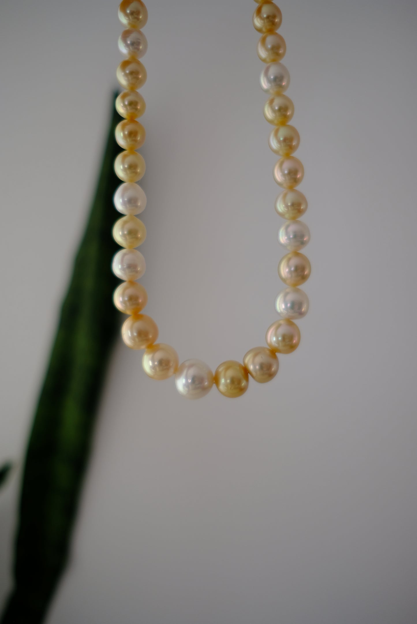 White South Sea Pearl Necklace, 8-14mm, Pearls Necklace, Aurora Phoenix