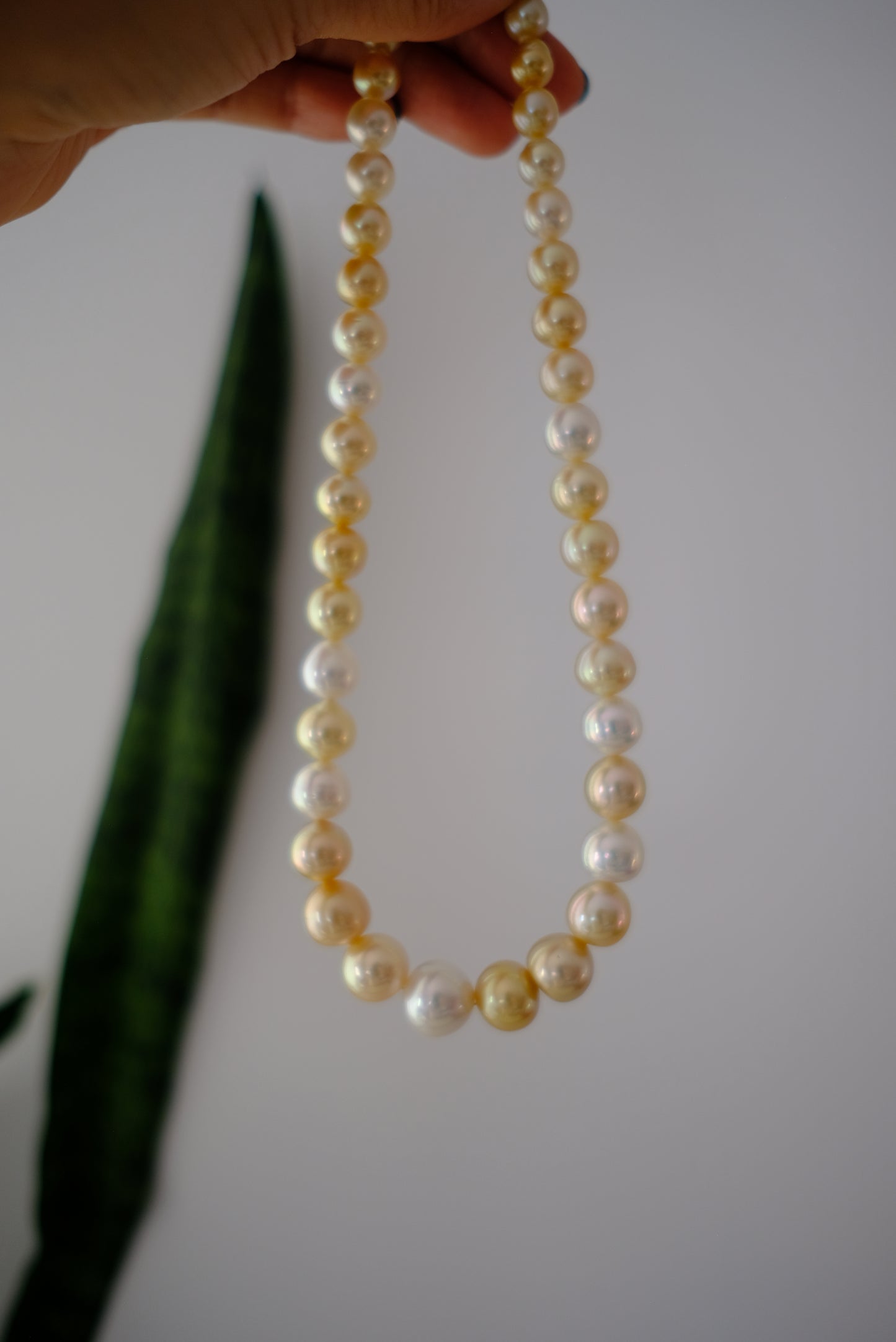 White South Sea Pearl Necklace, 8-14mm, Pearls Necklace, Aurora Phoenix