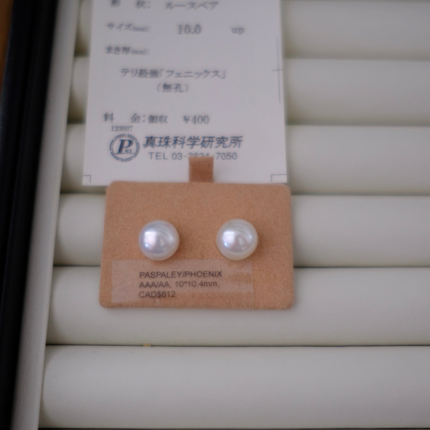 White South Sea Loose Pearl, Semi Round, 10*10.4mm, Phoenix