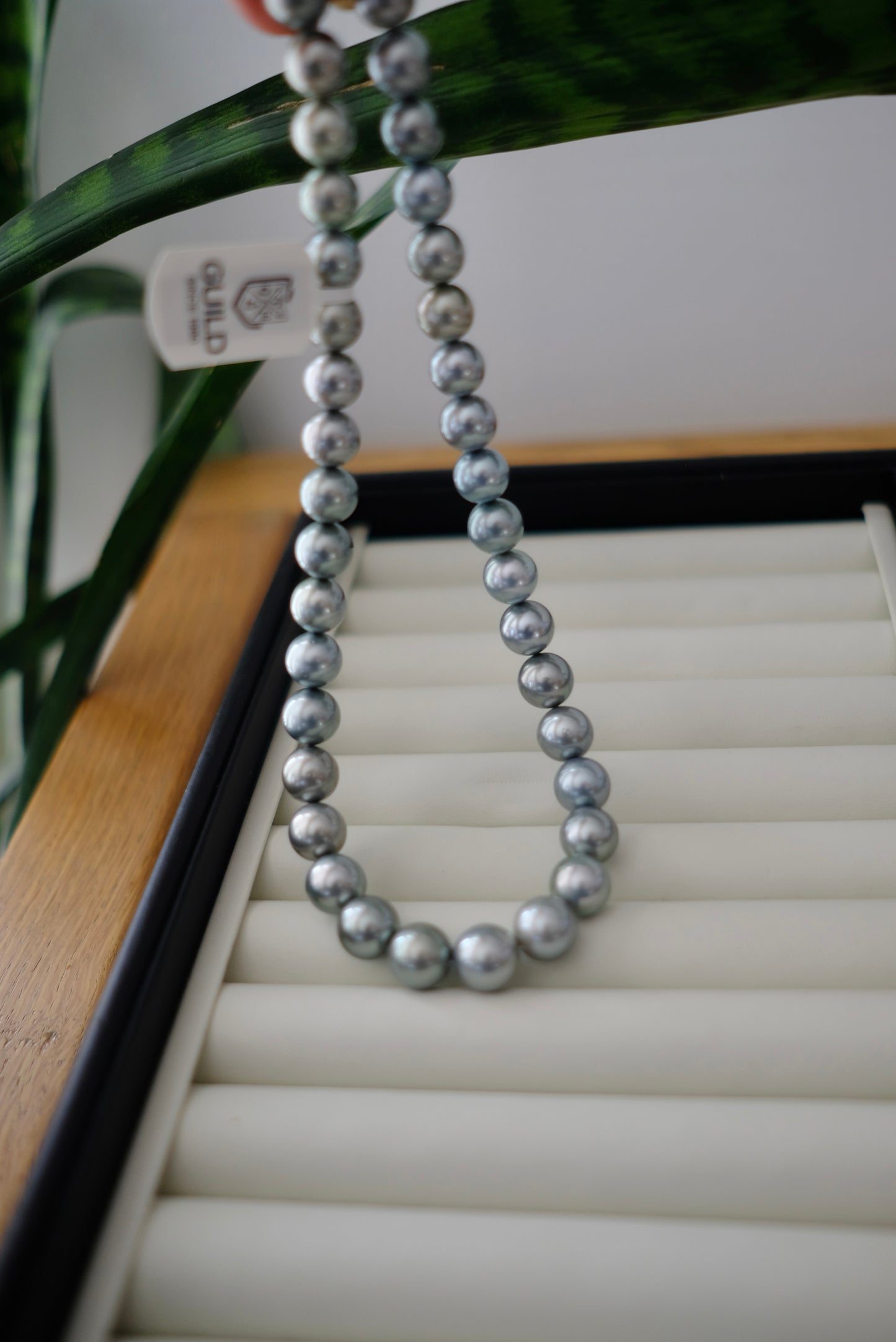 Tahitian Platinum Gray Necklace, 10-11.9mm, Pearl Necklace, GUILD Certificate #7773