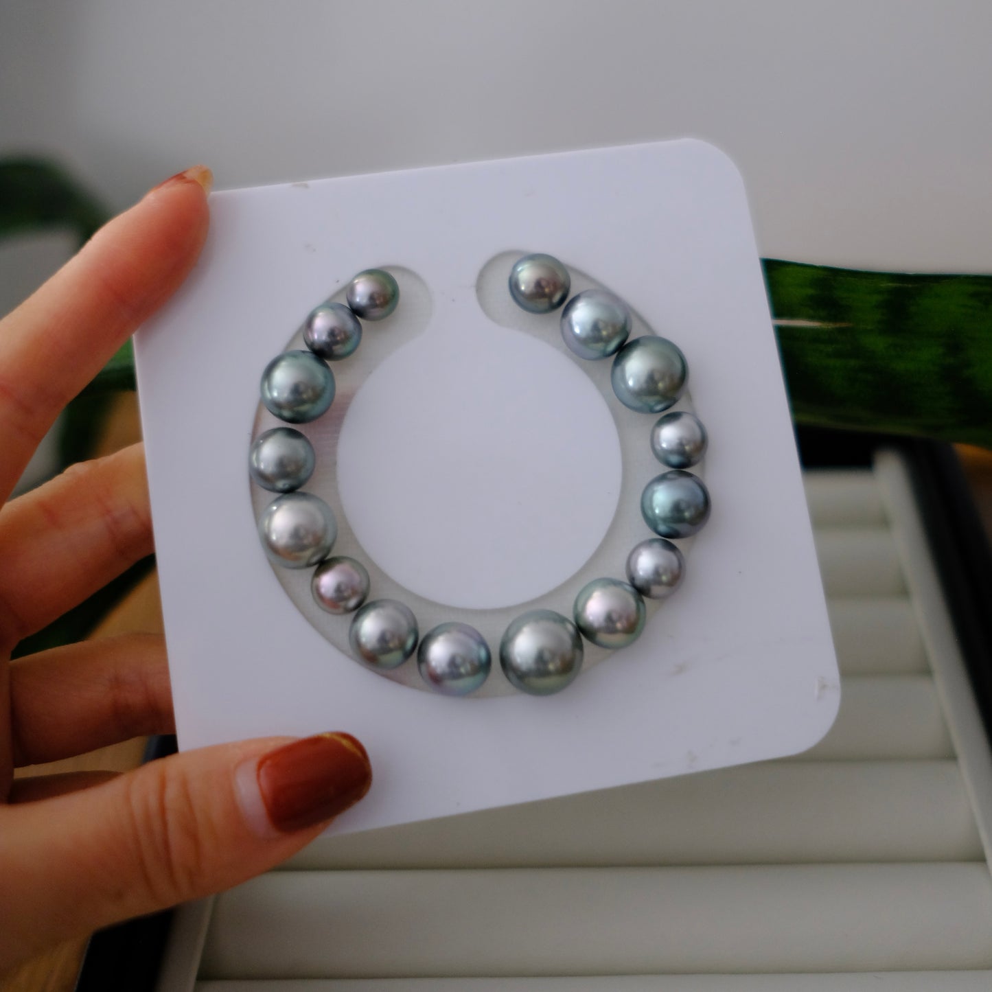 Tahitian Pearl Bracelet, Round/Near Round, Platinum Grey, 8.1-12.5mm